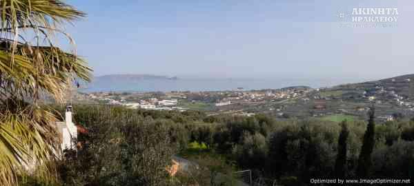 20220216_100439.jpg